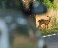 Symbolbild: Patrick Pleul/dpa
Nach einem Ausweichmanöver wegen Wildwechsel fuhr ein Autofahrer am Samstag auf der B 14 bei See gegen einen Baum. Am Ende geriet sein Fahrzeug in Brand.