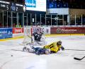 Bild: Werner Moller
Die Blue Devils Weiden um Fabian Ribnitzky (vorne) legten gegen die Krefeld Pinguine (im Bild Jon Matsumoto) nach einer 5:2-Führung noch eine Bruchlandung hin.