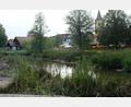 Bild: do
Im Bereich Tremmersdorf ähnelt das Flussbett der Creußen einer grünen Pflanzenoase. Der Wunsch nach regelmäßigen und vollständigen Entlandungen als Zwischenlösung bis zum Start des ökologischen Umbaues stößt allerdings bei der Fachbehörde auf viele Bedenken.