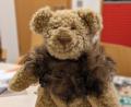 Bild: Christine Scharinger/exb
Auch diesem verletzten Teddybären wird am Sonntag, 20. Oktober, geholfen.