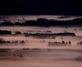 Archivbild: Karl-Josef Hildenbrand
In Bayern und der Oberpfalz wird es teils zähen Nebel und Hochnebel geben.