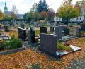 Bild: fpoz
Für den Friedhof Waldershof soll ein strukturierter Maßnahmenplan erstellt werden. Ideen zur Pflege und Gestaltung lieferte in der Stadtratssitzung Landschaftsarchitektin Marion Schlichtiger.