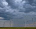 Symbolbild: Patrick Pleul/dpa
Der Stadtrat in Eschenbach möchte prüfen lassen, ob im Unteren Stadtwald Windkraftanlagen errichtet werden können. Dort ist jedoch der Seeadler beheimatet.
