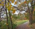 Bild: Portner
Idyllisch im bunten Herbstkleid: Der „Josef-Spichtinger-Rundwanderweg“ ist 7 Kilometer lang und bietet Panoramablicke auf die Stadt Oberviechtach.