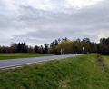 Bild: jma
In der Nähe der Hohen Tanne könnten im Auerbacher Stadtwald zukünftig Windkraftanlagen in den Himmel ragen.