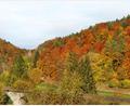 Bild: ds
Das Grau des Rißturms (Bildmitte) wird von der Vielfalt an Farben des herbstlichen Mischwalds im Lehental derzeit überstrahlt.