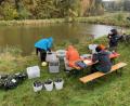 Bild: Wasserwirtschaftsamt Weiden/exb
Taucher holen die Muscheln aus ihrem Ersatzdomizil und bringen sie in den Stausee zurück. .
