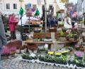 Bild: Hirsch
Der untere Marktplatz in Schwandorf gleicht am Sonntag einer kleinen Gartenschau.