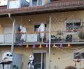 Bild: fks
Mit Gespenstern und Spinnweben wurde dieses Haus am Brücklpoint gruselig gestaltet.