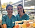 Bild: Klinikum Fichtelgebirge/Peggy Kuniss-Pfeiffer/exb
Natalie Grillmeier und Fabienne Fürst aus dem Hebammenteam der Frauenklinik freuten sich über das große Interesse der Besucherinnen und Besucher.