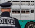 Symbolbild: agentur_dpa
Die Feuerwehr konnte den brennenden Viehtransporter in Mittelfranken löschen.