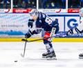 Bild: Tobias Neubert
Tyler Ward (links) von den Blue Devils Weiden erwehrt sich des Angriffs von Arne Uplegger (Dresdner Eislöwen)