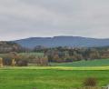 Bild: amö
Aus Richtung Winklarn ist im Hintergrund das zusammenhängende und nach oben hin steil ansteigende Waldgebiet am Bergmassiv des Frauensteins sichtbar. Der Marktrat Winklarn spricht sich gegen die Ausweisung eines Windkraft-Vorranggebietes aus.