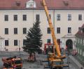 Bild: Wolfgang Steinbacher
Auch der Malteserplatz hat wieder seinen Weihnachtsbaum bekommen.