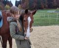 Bild: Benjamin Hiltl
Reiten mit der Stute Gawina gehört für Sophia zu den freien Zeiten nach dem Schulunterricht.