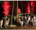 Archivbild: er
Jugendliche aus Sorghof inszenierten im Vorjahr ein modernes, zeitkritisches Krippenspiel, das gut beim Publikum ankam.