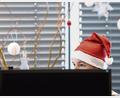 Symbolbild: Zacharie Scheurer/dpa
Ist das Weihnachtsgeld erst mal auf dem Konto, wird die Stimmung im Büro gleich viel festlicher.