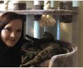 Bild: sei
Nadine Hummel kümmert sich mit der Katzenhilfe Kaltenbrunn ehrenamtlich um viele ausgesetzte Katzen oder Tiere aus schlechter Haltung. Sie finanziert das privat und ist mit der Katzenhilfe Kaltenbrunn auf Geldspenden oder auch Futterspenden angewiesen.