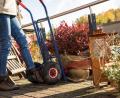 Symbolbild: Christin Klose/dpa
Im Herbst wird die Terrasse geräumt und die Kübelpflanzen ins Winterquartier gebracht. Doch bei der Überwinterung der Pflanzen gibt es einiges zu beachten.
