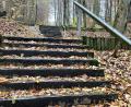 Bild: Gabi Schönberger
Die alten Bahnschwellentreppen im Felixwald brauchen eine Frischekur. Die wird aber erst kommen, wenn die Überlegungen zur künftigen Wegführung abgeschlossen sind.