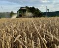 Bild: lei
Der Grundsteuer-Hebesatz für landwirtschaftliche Flächen in der Gemeinde Hirschbach beträgt ab 2025 in der Gemeinde Hirschbach 300 Prozent.