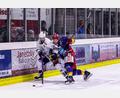 Archivbild: Werner Moller
Vladislav Filin (links, Szene aus der vergangenen Saison gegen Peiting) erzielte am Freitag in Kaufbeuren das 2:1-Siegtor für die Blue Devils.