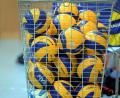 Symbolbild: Hubert Ziegler
Beim Bayernpokal im Volleyball landeten die Auswahlteams aus der Oberpfalz auf Platz sechs.
