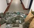 Bild: KPI Regensburg 
Die Polizei hat mehrere Kilo Cannabis sichergestellt - drei Brüder müssen sich wegen gemeinschaftlichem Anbau und Handel mit Cannabis verantworten.