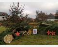 Archivbild: Heidi Gleißner/DJK Falkenberg/exb
Sogar in der Corona-Zeit gab es Beiträge zum Lebendigen Adventskalender in Falkenberg.