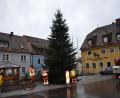 Bild: gi
Der schmucke Weihnachtsbaum am Moosbacher Marktplatz wird in der Advent- und der Weihnachtszeit neben der Brunnenkrippe leuchten. Die Bediensteten des Bauhofes bringen die Lichter an.