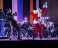 Bild: Pirmin Balk / Stadt Grafenwöhr
Das traditionelle Weihnachtskonzert der United States Army Europa and Africa Band & Chorus (USAREUR) findet am Freitag, 6. Dezember, um 19 Uhr in der Stadthalle Grafenwöhr statt.