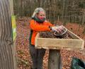 Bild: Matthias Bäumler/fph
Försterin Katharina Bäcker füllt den Hähertisch im Marktredwitzer Stadtwald mit Eicheln.