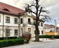 Bild: Gabi Schönberger
Erst seit Oktober hat das Internationale Keramikmuseum in Weiden mit Johannes Listewnik einen neuen Leiter. Dennoch diskutiert der Finanzausschuss nur einen Monat später, ob es das defizitäre Museum überhaupt noch braucht.