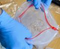 Symbolbild: Jens Schlueter
Ein Kriminalbeamter präsentiert ein bei Durchsuchungen sichergestelltes sogenanntes "Crystal Meth" in einer Plastiktüte. In Amberg wandert ein 27-jähriger Dealer nach einem Prozess vor dem Amberger Landgericht nun für längere Zeit ins Gefängnis.