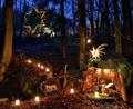 Archivbild: Gerhard Götz
Der Grenzwald am Eulenberg wird zum "Advent im Wald" in eine besondere Atmosphäre gehüllt.