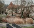 Bild: Stadt Amberg/Michael Golinski
Um diesen Bereich geht es: Der Teich im Amberger Stadtgraben bei der Fronfeste.