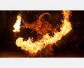 Bild: Lea-Mareen Kuhnle
So sehen die Oberpfälzer Schlossteufeln aus. Hier ist ein Krampus während der Show in Aktion.