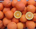 Bild: Susanne Forster
Unbehandelte Orangen in Bioqualität aus dem Süden haben im Winter Saison. Sie unterstützen unsere Gesundheit in der kalten Jahreszeit.