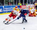 Bild: Tobias Neubert
Luca Gläser (rechts) von den Blue Devils Weiden mit einem Tänzchen mit Sven Fischer (ESV Kaufbeuren).