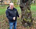 Bild: lnz
Hans Bäumler demonstriert neben einem Baum mit Drehwuchs, wie er auf der Suche nach vermuteten Wasseradern oder anderen geologischen Phänomenen seine Winkelrute einsetzt.
