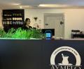 Bild: ama
Aysegül Duran eröffnete vergangenen Samstag das Aymelo am Roßmarkt.