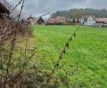 Bild: Gabi Schönberger
Ein Bauvorhaben der besonderen Art: Renate Schneider-Kraus will auf ihrer Wiese nahe des Rußweihers in Eschenbach ein Tiny-House-Dorf aufbauen.