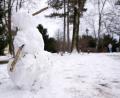 Symbolbild: Sven Hoppe
Der Start in den Januar bringt einigermaßen winterliches Wetter in die Oberpfalz