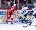 Bild: Tobias Neubert
Unordnung vor Felix Noack (weißes Trikot, liegend): Am Ende ist es Fabian Ribnitzky, der die Scheibe ins eigene Tor haut. Die Blue Devils verlieren das Derby gegen die Eisbären Regensburg am Ende unglücklich mit 2:3.