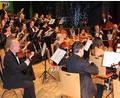 Archivbild: kro
Die Donau-Philharmonie Wien bestreitet erneut ein Neujahrskonzert in Tirschenreuth. Die Aufnahme entstand beim Gastspiel Anfang 2023.