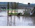 Bild: Pia Bayer/dpa
Regen und Schneeschmelze führen zu Hochwasser in Nordbayern.