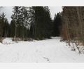 Bild: pi
Im Bereich Wurmstein könnte ein Mountainbike-Trail entstehen.