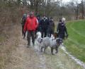 Bild: mad
Bei der Wandertour darf auch der Hund mit: In kleinen Gruppen wird die Gegend um Schwarzhofen erkundet.