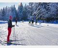 Bild: Andreas Munder/exb
Die Langlauf-Loipe an der Bleaml-Alm bei Fichtelberg ist derzeit eine der wenigen, die sich in einem akzeptablen Zustand befinden.