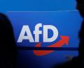Bild: Carsten Koall/dpa
Parteilogo der AfD